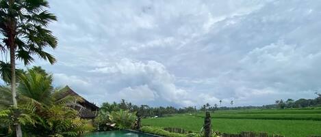 Suite, Balcony, Garden View | Pool