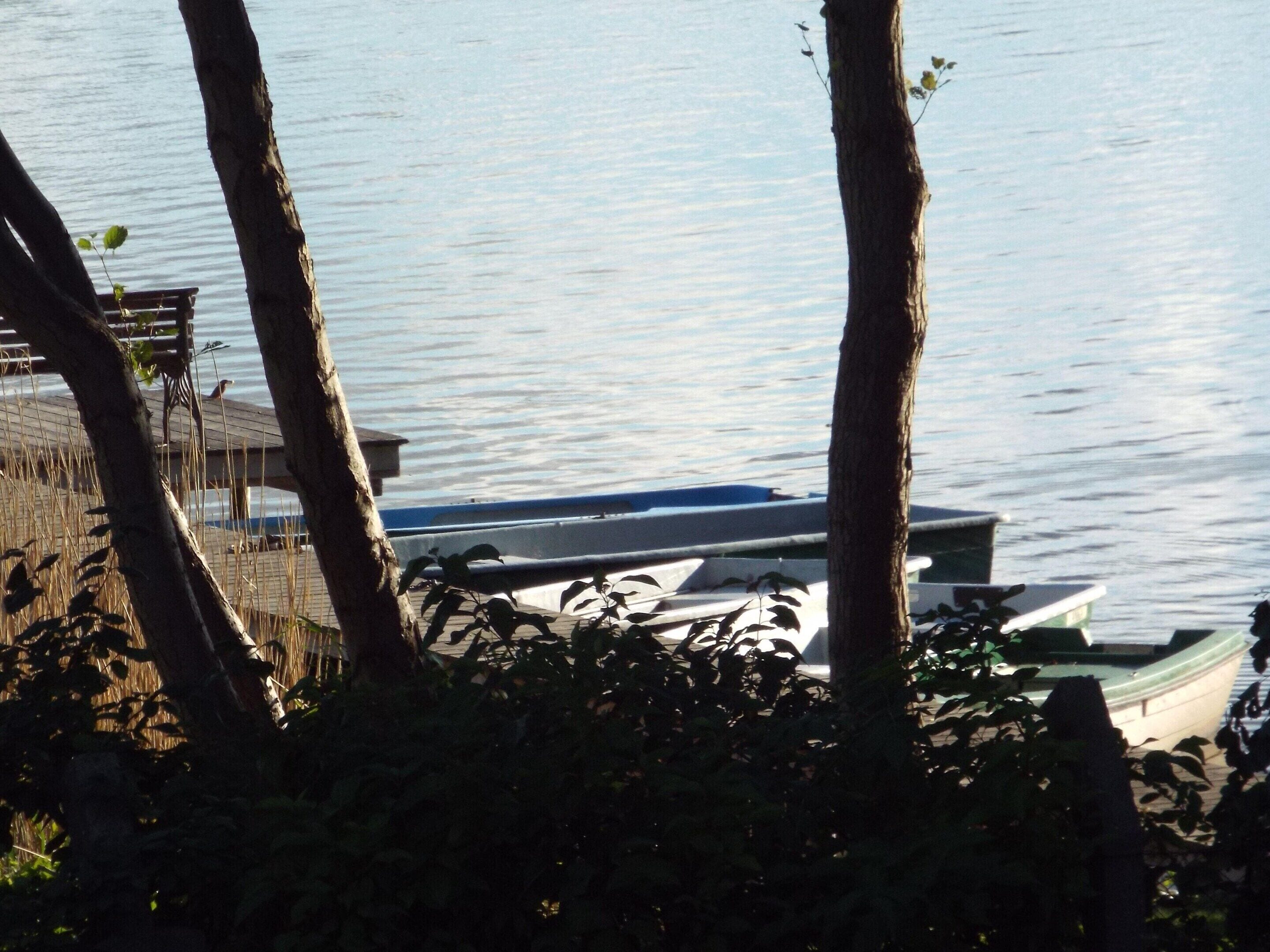 Ein ruhiger See mit angestaubten Booten, umgeben von Bäumen und einer Holzsteganlage.