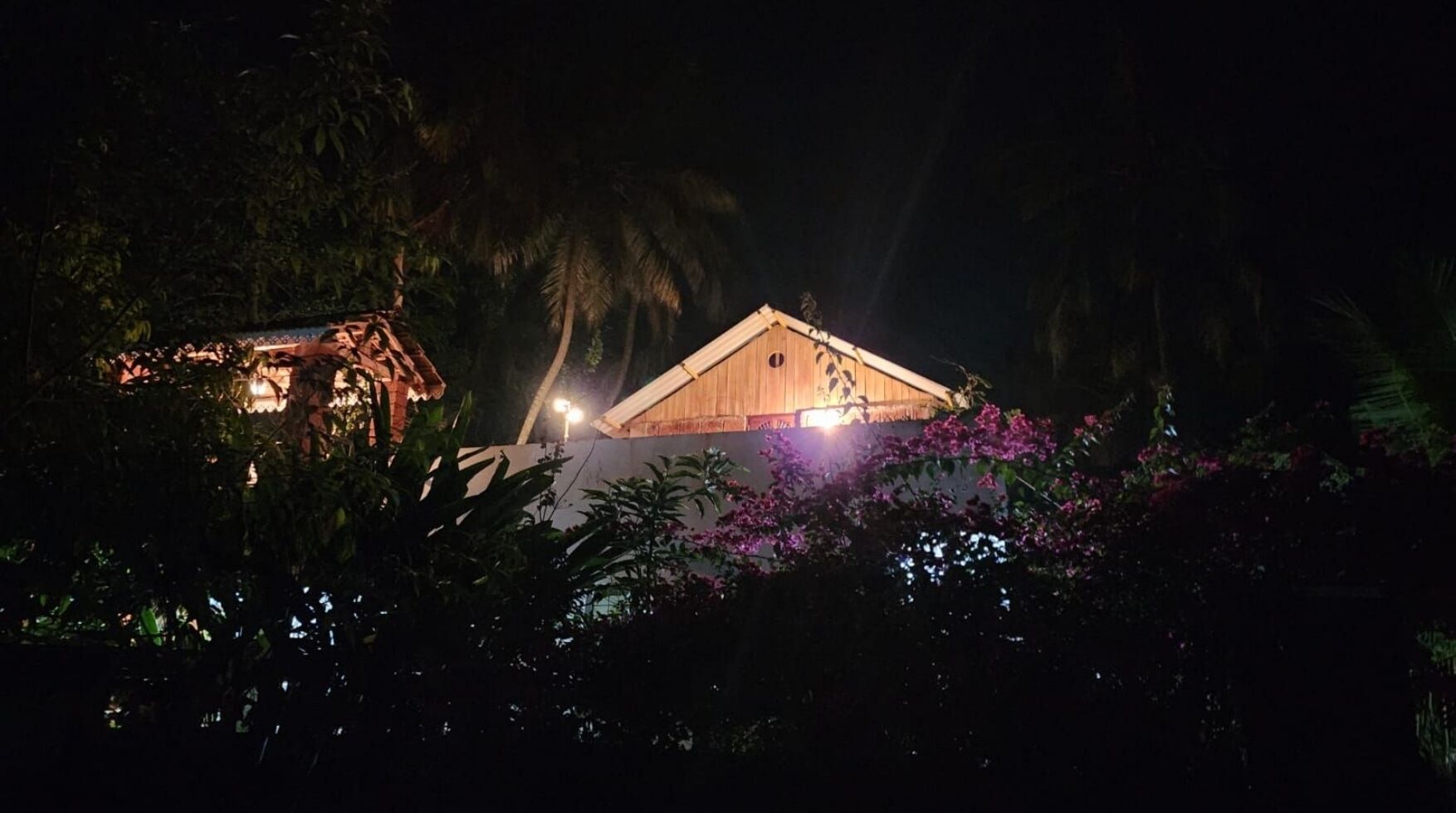 A well-lit building with a sloped roof, surrounded by dense foliage and flowering plants.