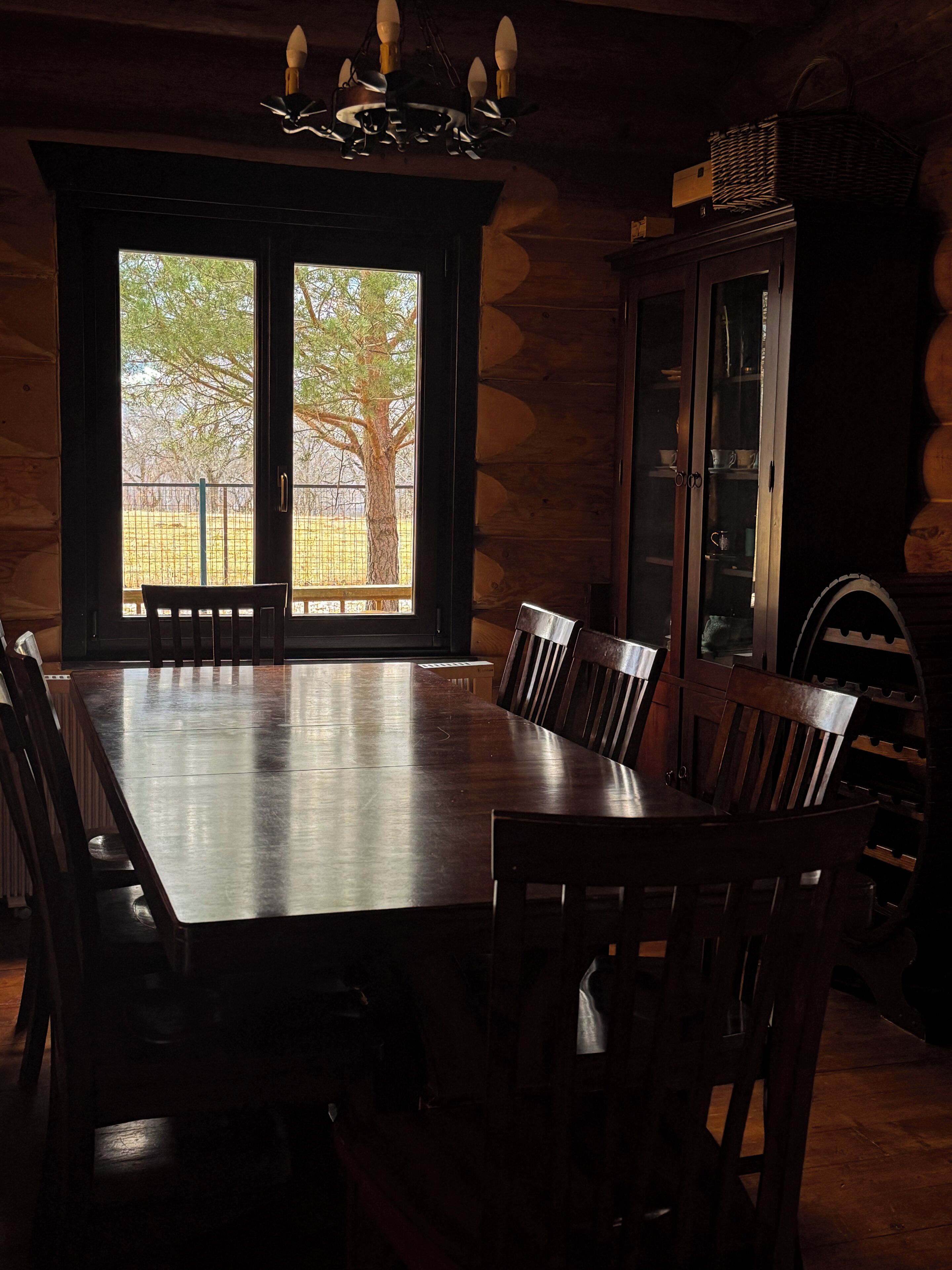 A wooden dining table with chairs, a chandelier, and a cabinet with glass doors.