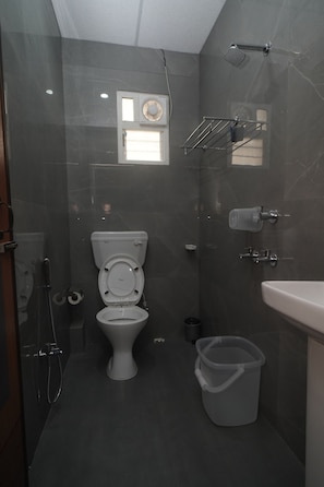 Hair dryer, towels, soap, toilet paper
