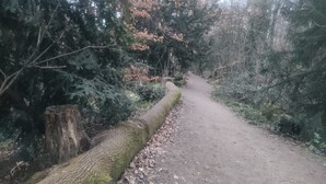 A forested path with a moss-covered log barrier and dense trees. - Room in a Stunning Apartment in the City and the Countryside (Oullins-Pierre-Bénite)