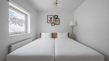 Apartment | Iron/ironing board, free WiFi