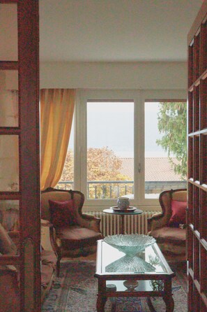 TV, DVD player, books, stereo - Villa Jasmin (Veyrier-du-Lac)