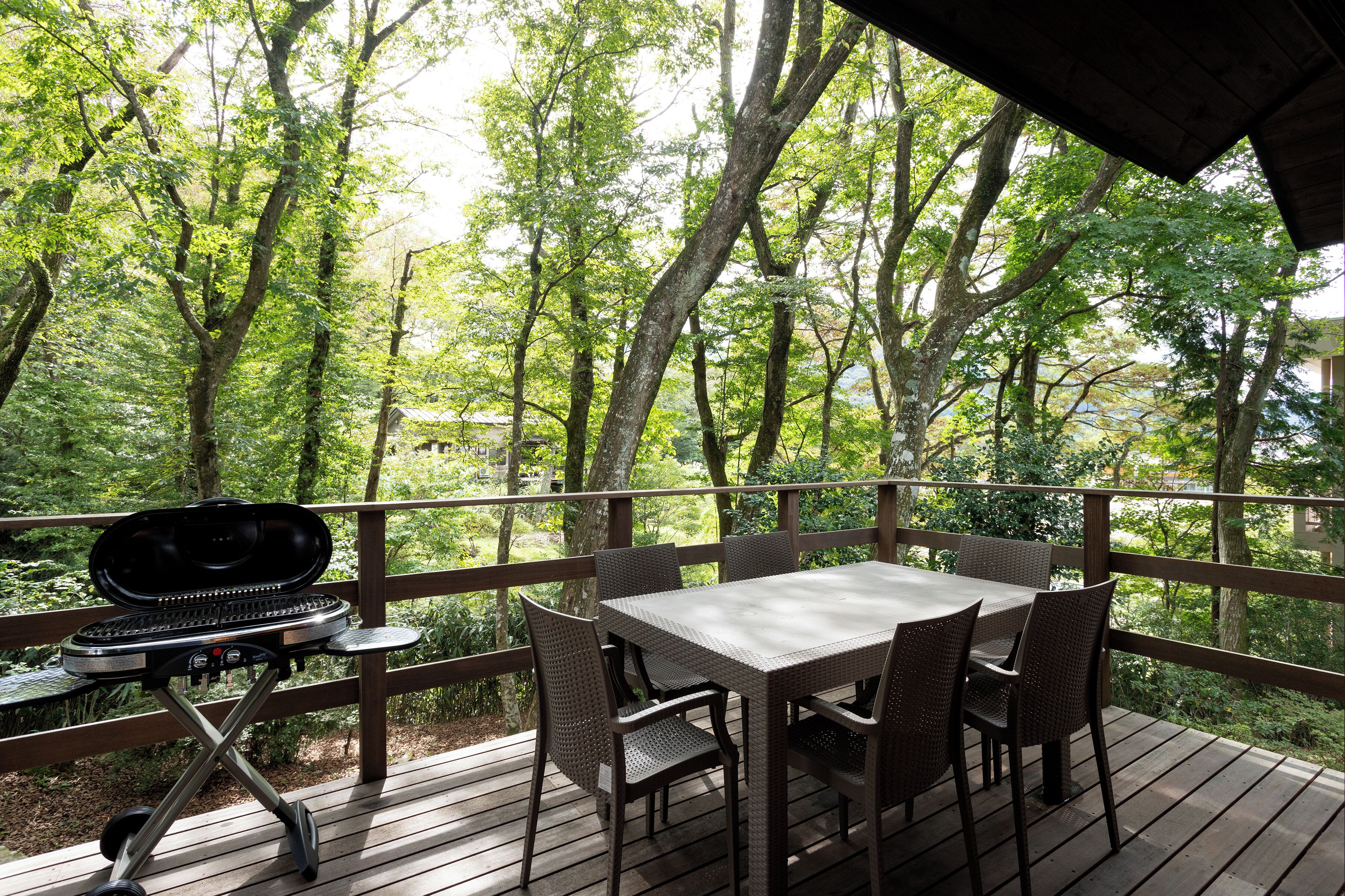 Hus – premium, 3 soverom | Terrasse/patio