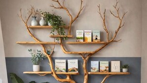 A tree-shaped wooden shelf unit with books and small potted plants against a grey wall. - Haus der alten Bäume in Hillesheim | Quiet stays in nature in the Volcanic Eifel (Hillesheim)