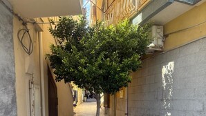 A narrow alleyway with a tree in the center, flanked by buildings with tiled walls and balconies. - Kyma Luxury Apartment - Sea & Taormina, Giardini Naxos, Sicily (Giardini Naxos)