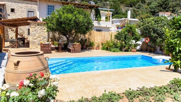 Ein Schwimmbecken mit einem Steintonne, umgeben von Topfpflanzen und einer Holzpergola.