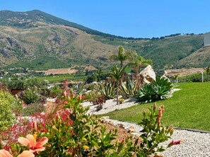Un jardin aménagé avec différentes espèces de plantes, offrant une vue sur un paysage montagneux en arrière-plan.