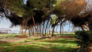 A park with trees, a grassy area, and a body of water in the background. - Casa sul mare Rivabella by Casa di Marco (Rivabella)