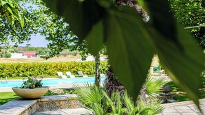 Ett område vid poolen med utsikt över en vingård, ett palmträd och en stenkruka med blommor.
