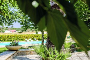 Ein Poolbereich mit Blick auf ein Weinberg, eine Palme und ein Pflanzgefäß aus Stein mit Blumen.