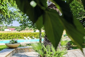 Ein Poolbereich mit Blick auf ein Weinberg, eine Palme und ein Pflanzgefäß aus Stein mit Blumen.