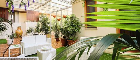 Terraza o patio