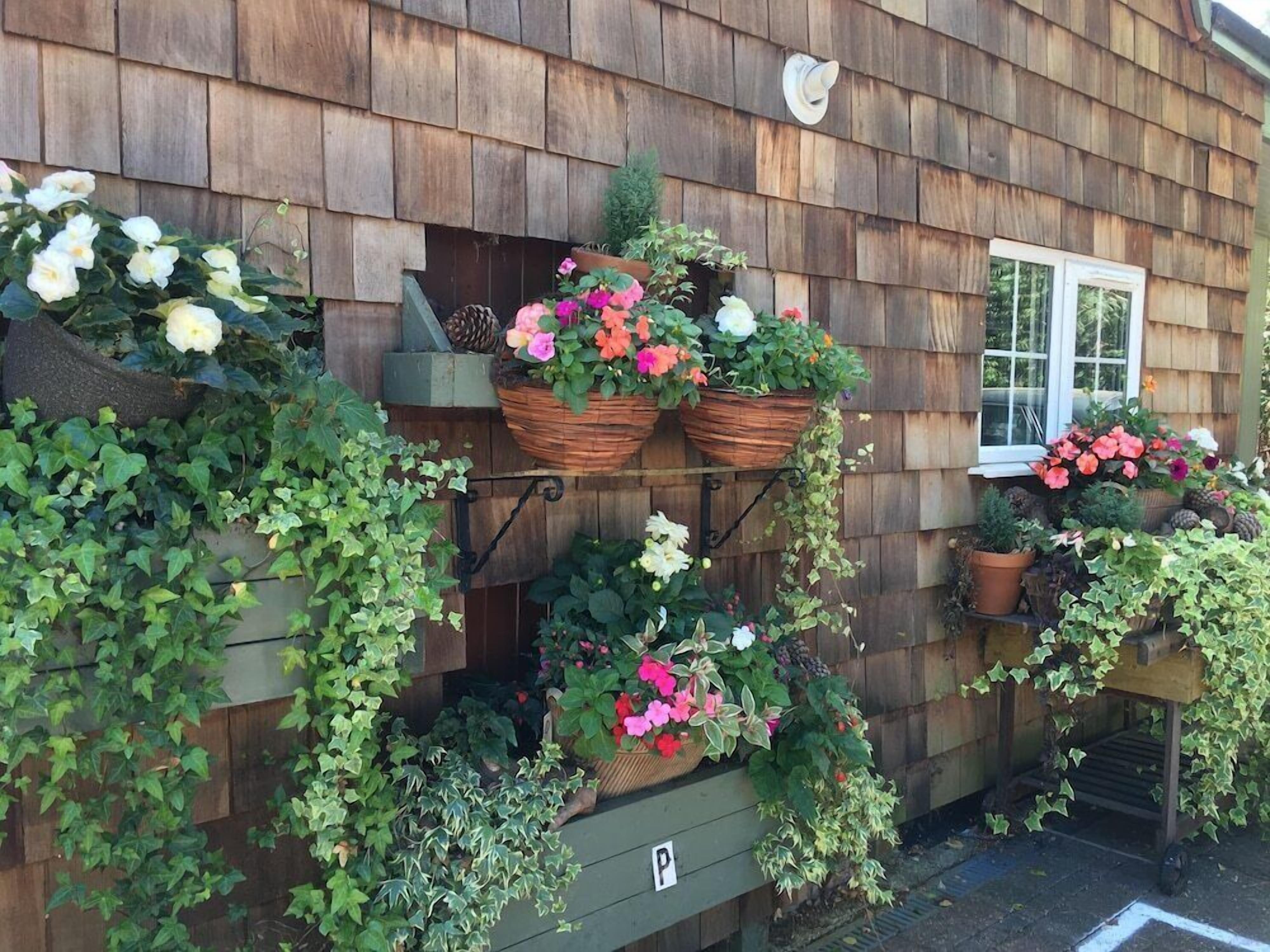A wooden building with multiple flower baskets and plants on the exterior wall.