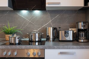 Private kitchen - REGENT vacation apartment on the Elbe for up to 7 people, old town location, S-Bahn DD, 2 car SP (Meißen)