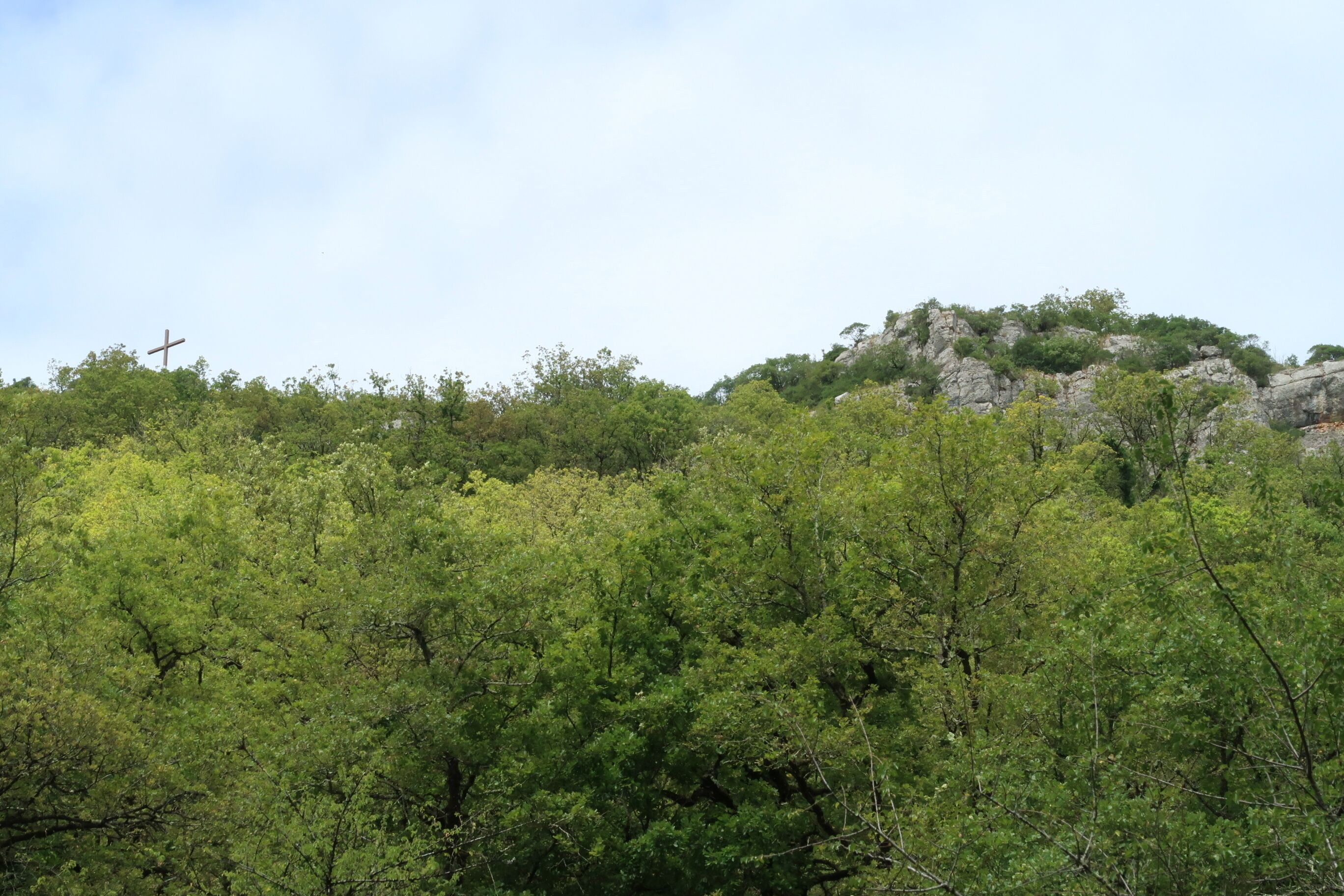 A natural landscape with dense green foliage and rocky terrain.
