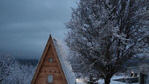 A wooden cabin with a sloped roof, surrounded by snow-covered trees and a snowy landscape.