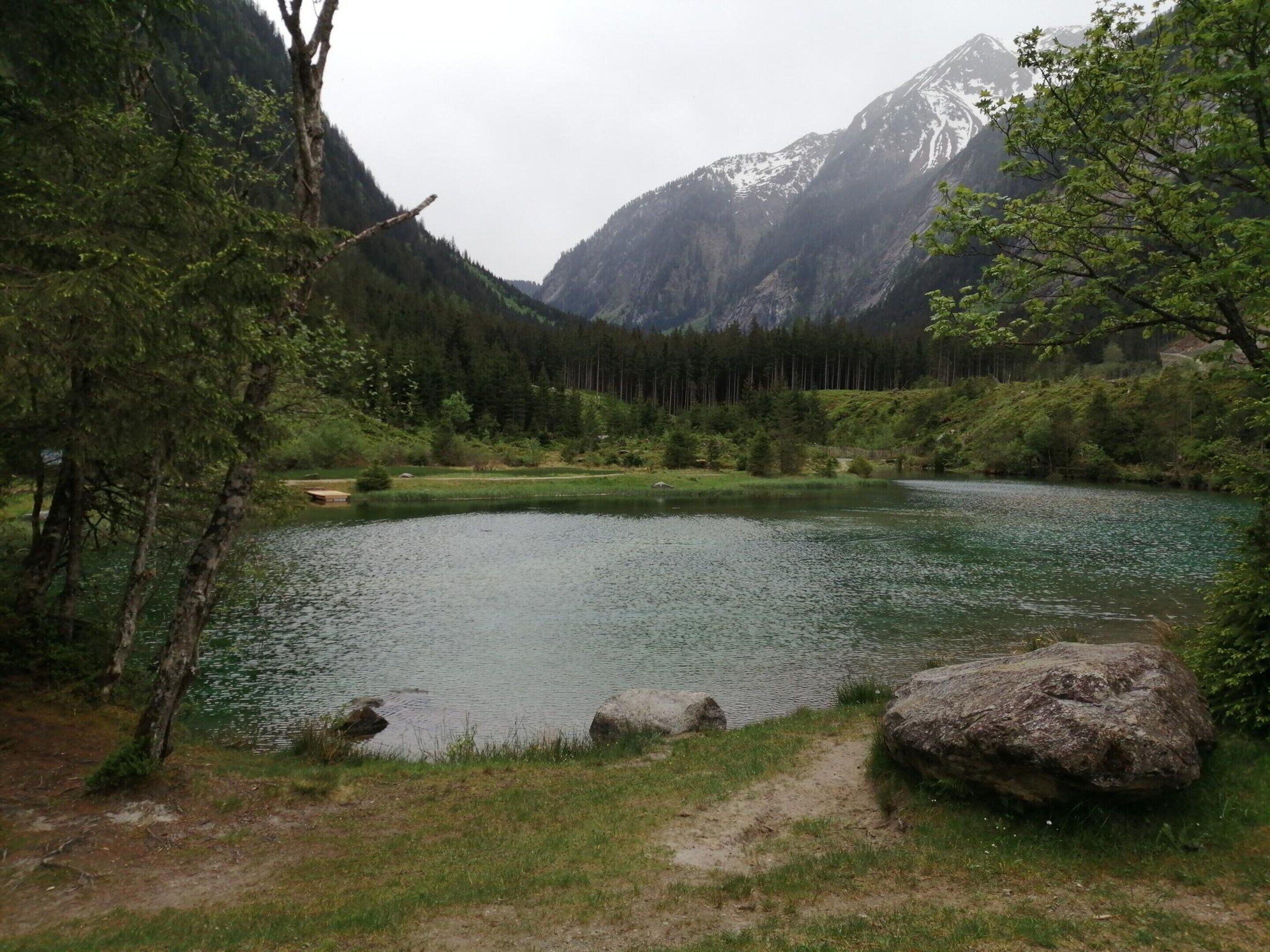 Un lac paisible, entouré d’une forêt dense et de montagnes.