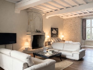 Smart TV, fireplace, books, stereo