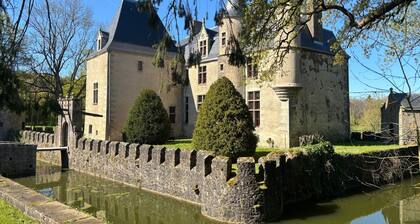 Privatize a fairytale castle - 5 suites - 20 mn from Puy du Fou