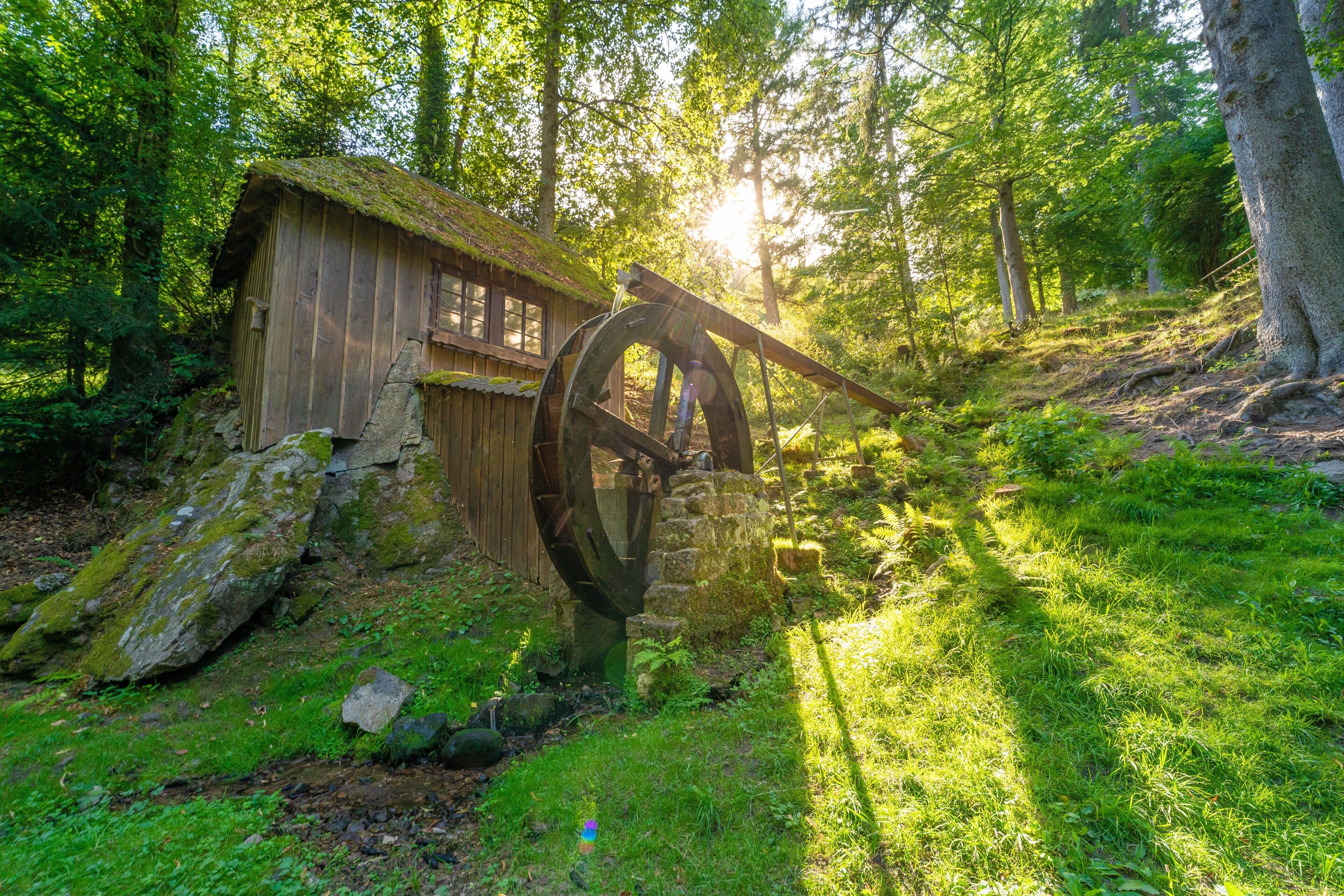 A rustic wooden structure with a large water wheel, surrounded by lush greenery and trees.