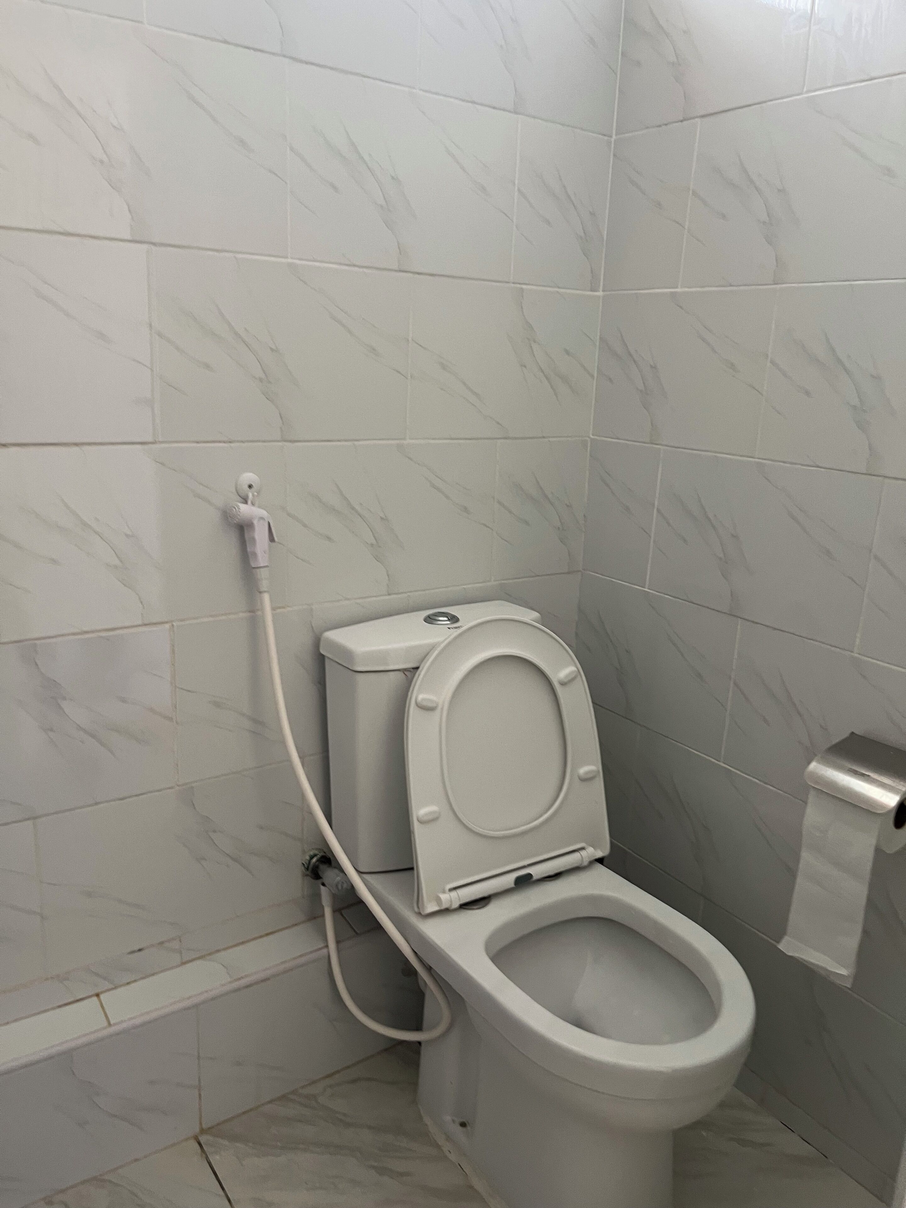 Shower, bidet, towels, soap