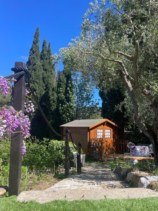 Property grounds - Cozy apartment 450 meters from the sea equipped with a swimming pool (Procchio)