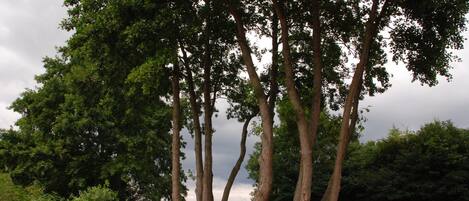 Husvogn | Utsikt fra overnattingsstedet