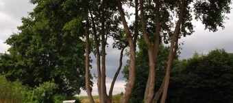 Mobile Home in a Holiday Park With Lake Access