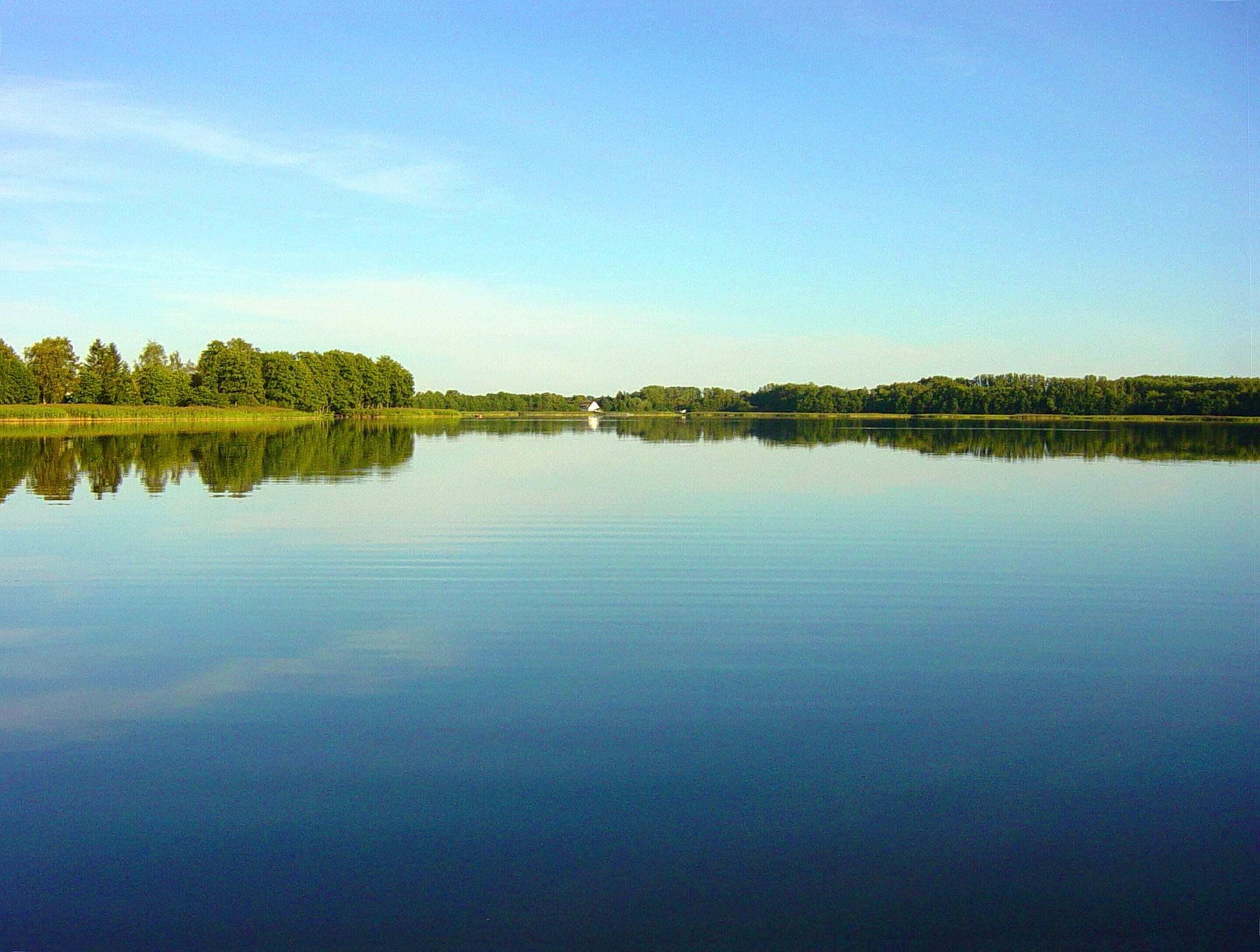 A calm lake with a clear reflection of trees and a distant building.