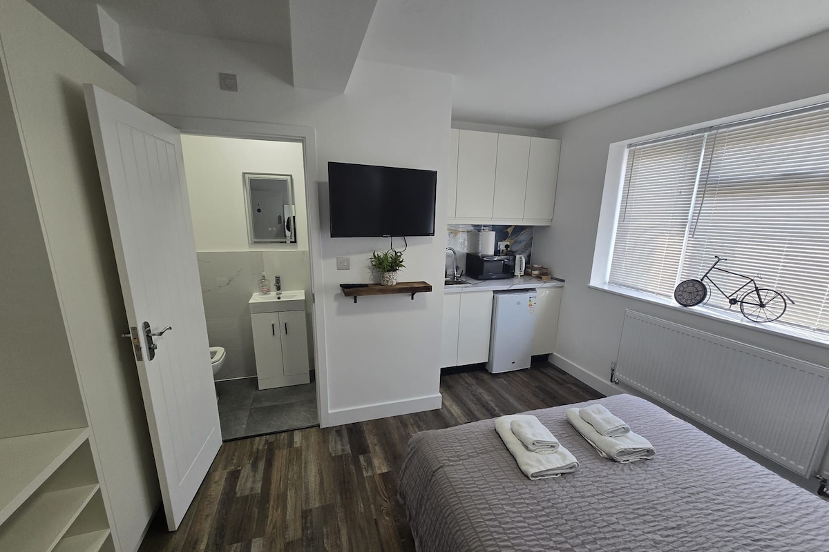 A compact bedroom with a bed, a TV, a small kitchenette, and a bathroom.