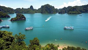 A coastal area with boats, clear water, and lush greenery. - La SEN of the Bay Cruises  (Tuan Chau)
