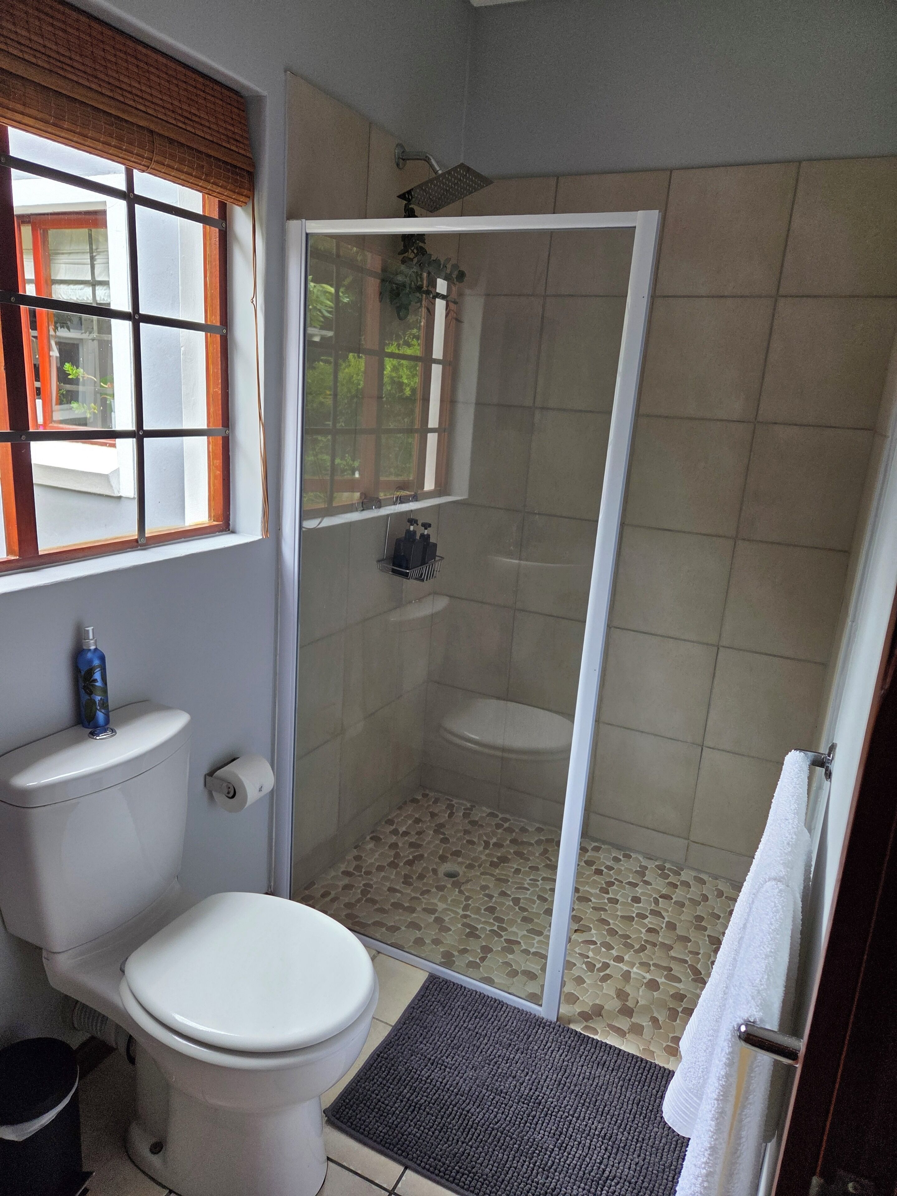 Sèche-cheveux, serviettes fournies, papier toilette