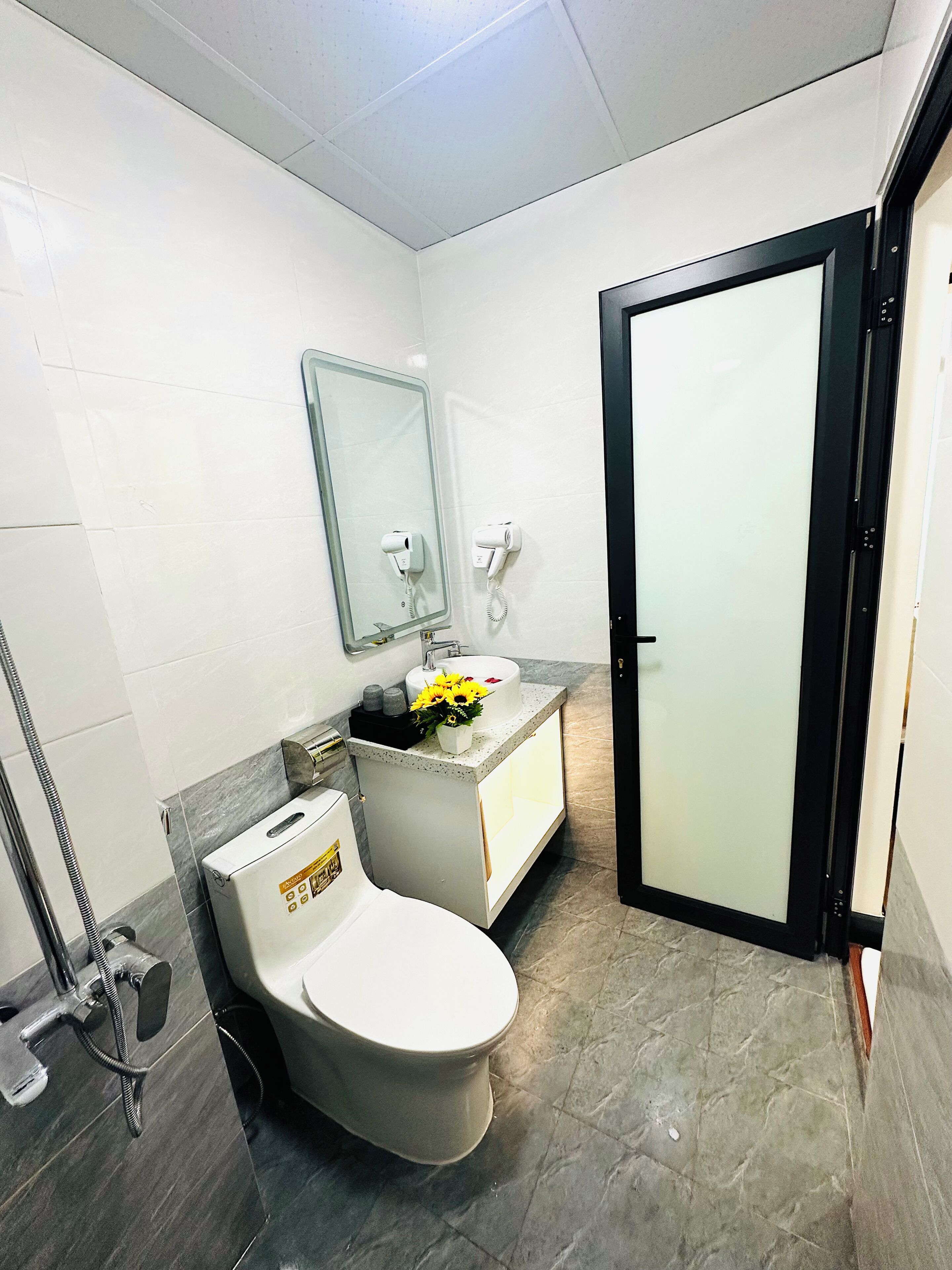 A bathroom with a toilet, a sink with a mirror, a hairdryer, and a shower.