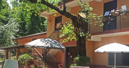 A FEW KM FROM THE EXIT OF THE SELE VALLEY BOTTOM IS THE AGRITURISMO LA ROVERELLA.