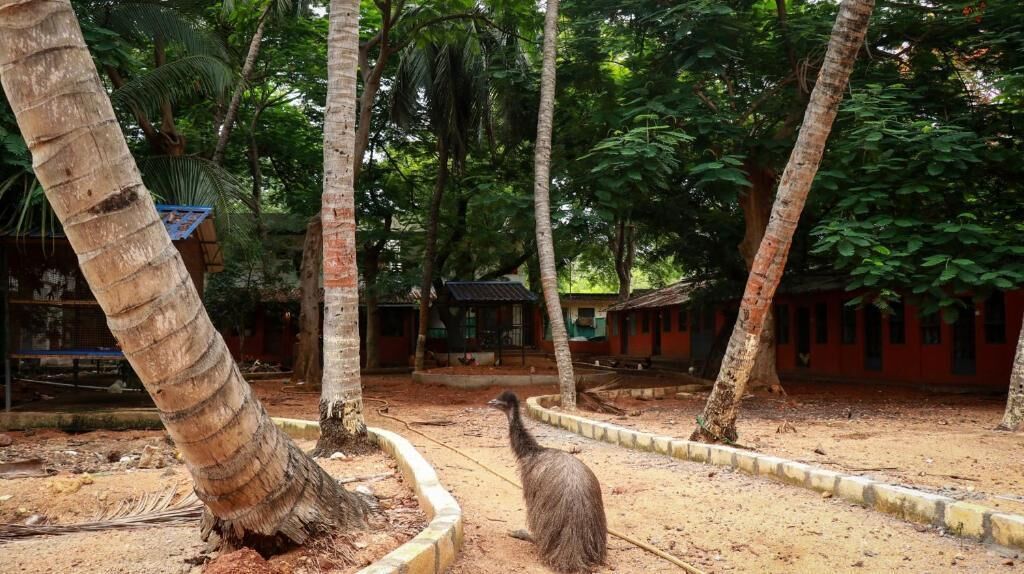 Basic Double Room, Garden View | Property grounds