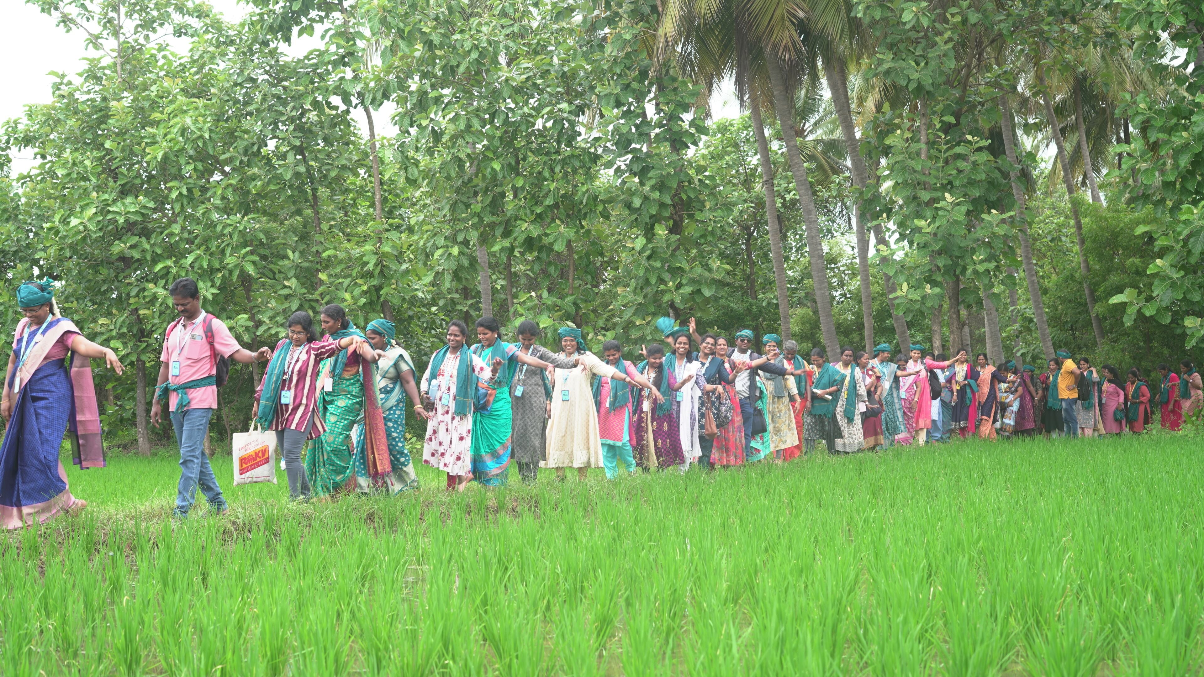 A group of people standing in a grassy field with trees in the background.