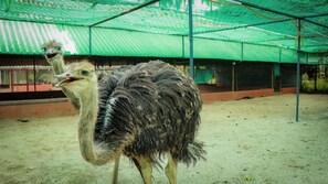 المنشأ ة من الخارج