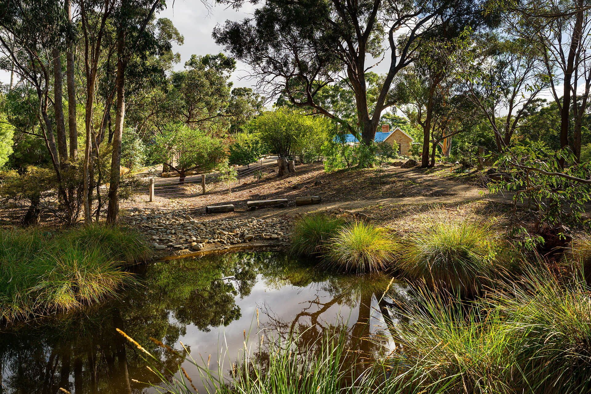 A natural landscape with a pond, trees, and a building in the background.