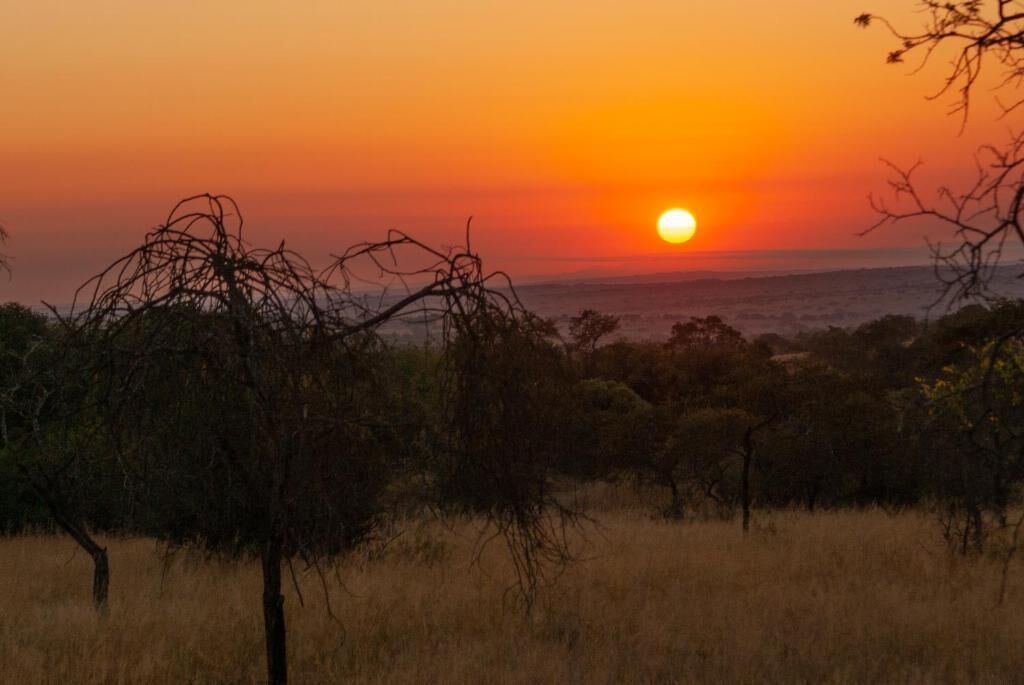 Ein Sonnenuntergang über einer Savannenlandschaft mit vereinzelten Bäumen und trockenem Gras.