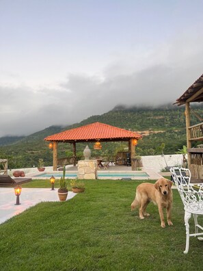 A patio area with a pool, a wooden pergola, and a dog. - Vila Calm bungalow - Ipu - Ceará - Serra da Ibiapaba (Várzea do Giló)