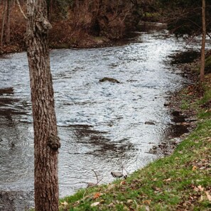 A river with trees and grass along the banks. - Homegrown Hideaway - The Lynn (Port Dover)