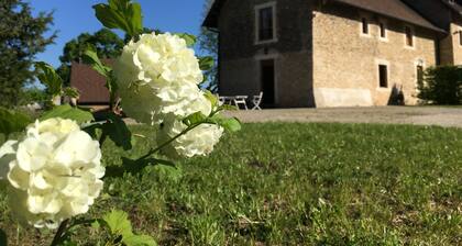 Comfortable and quiet house, 2 bedrooms