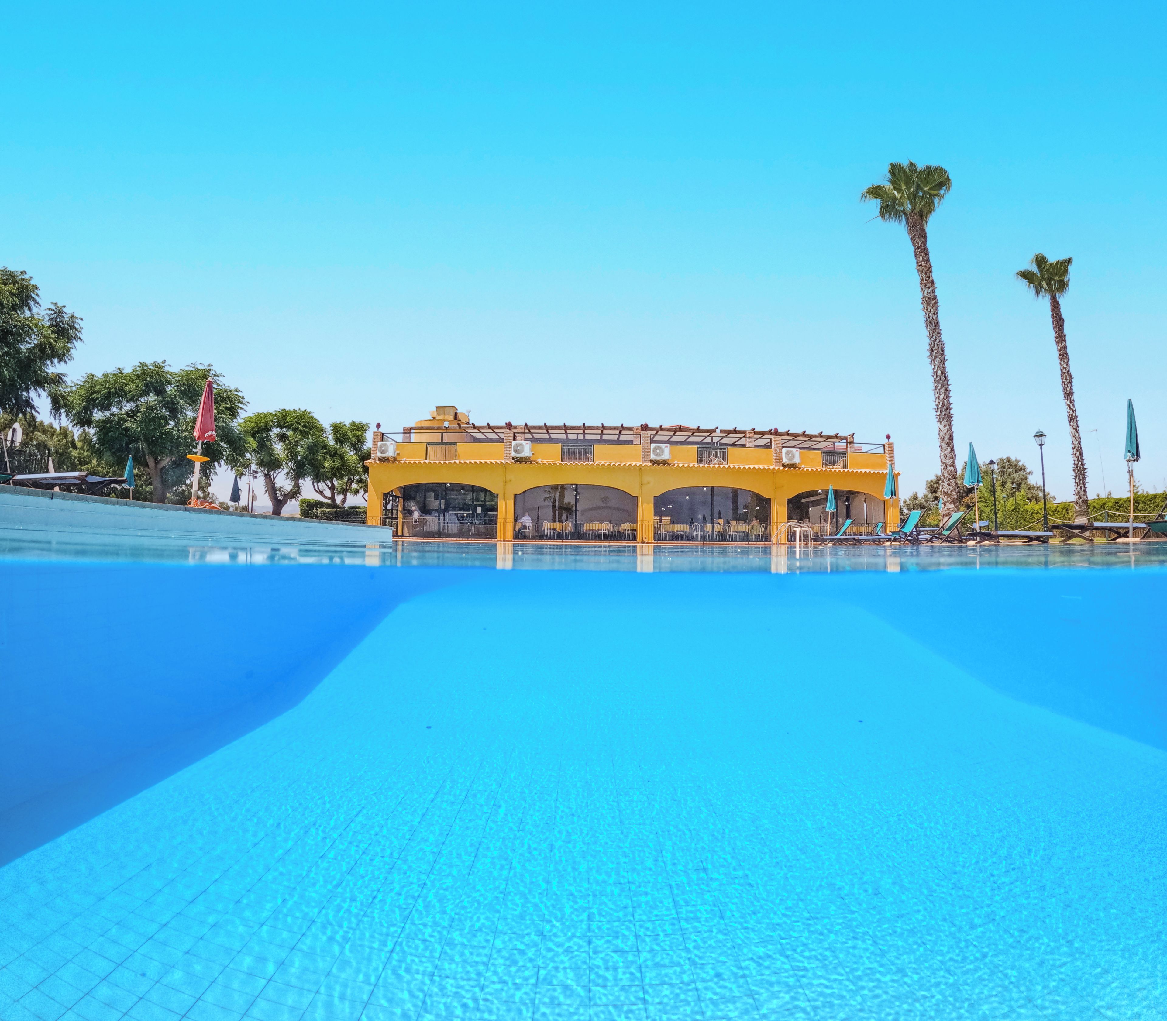 A clear blue pool with a yellow building in the background, palm trees, and sun loungers.