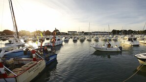 En småbåtshamn med flera förtöjda båtar, där det finns en mängd olika typer och storlekar av båtar.