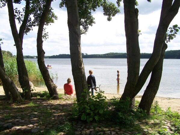 Blick auf einen See mit Bäumen, einem Steinweg und einem Haus in der Ferne.