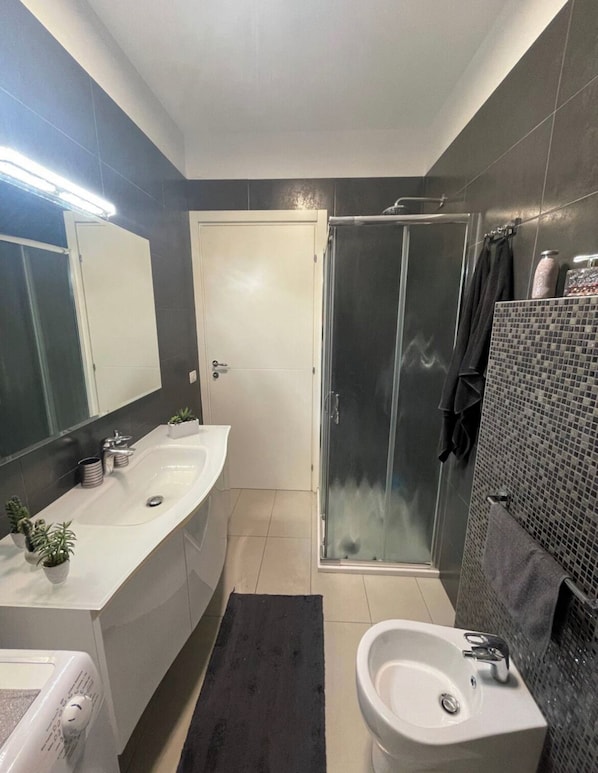 Regadera, secadora de cabello, bidet, toallas 