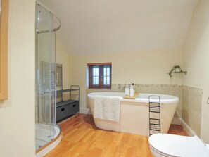 Shower - Little Blagdon (Holsworthy)