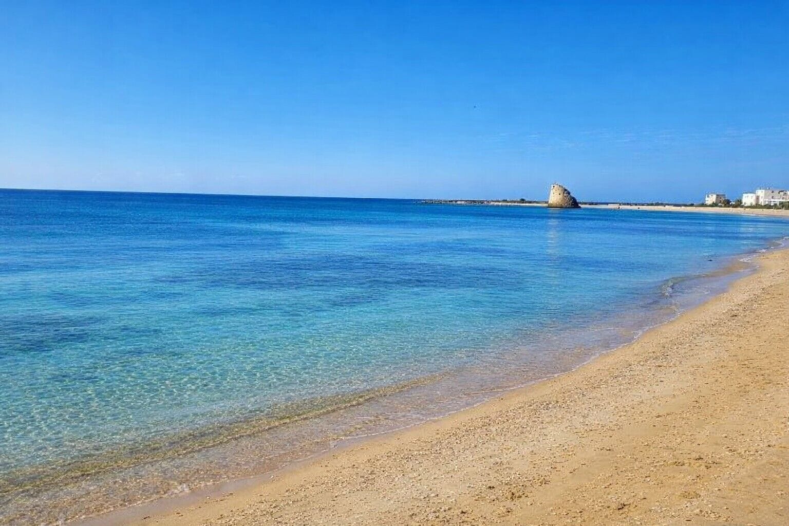 شاطئ
